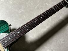 FREEDOM CUSTOM GUITAR RESEARCH Green Pepper (TE Pepper Semi Hollow)_6