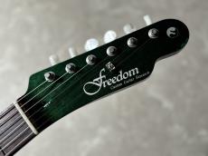 FREEDOM CUSTOM GUITAR RESEARCH Green Pepper (TE Pepper Semi Hollow)_7