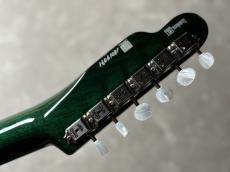 FREEDOM CUSTOM GUITAR RESEARCH Green Pepper (TE Pepper Semi Hollow)_11