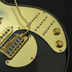 Brian May Gutiars Black Special_10