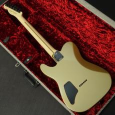Fender Limited Edition Jim Root Telecaster Shoreline Gold_2