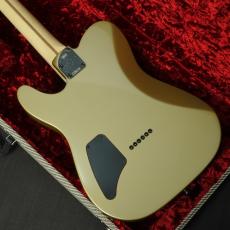 Fender Limited Edition Jim Root Telecaster Shoreline Gold_4
