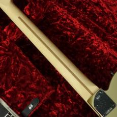 Fender Limited Edition Jim Root Telecaster Shoreline Gold_6
