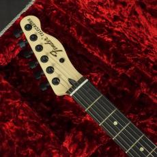 Fender Limited Edition Jim Root Telecaster Shoreline Gold_7