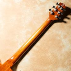 Kz Guitar Works Kz One Solid Carved Top 24F 2P3 Stop-Tail New Guinea Rosewood Top_6