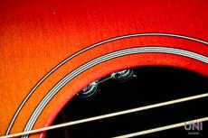 Gibson Hummingbird / 2019_6