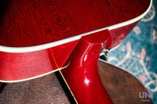 Gibson Hummingbird / 2019_8