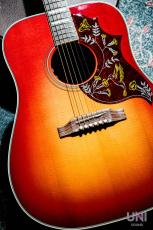 Gibson Hummingbird / 2019_9