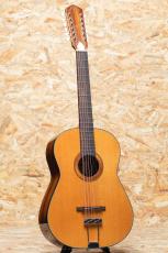 Framus Hootenanny 12st VNN 2025_3