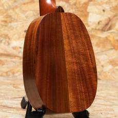 Kamaka HP-1L Soprano Long Pineapple_2