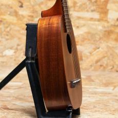 Kamaka HP-1L Soprano Long Pineapple_4