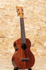 Kamaka HF-2 Concert_3