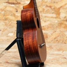 Kamaka HF-2 Concert_4