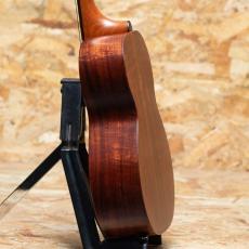 Kamaka HF-2 Concert_5