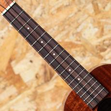 Kamaka HF-2 Concert_6