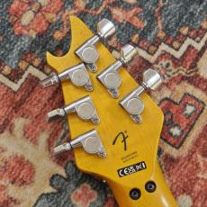 EVH Limited Edition Wolfgang Special Striped Series, Ebony Fingerboard, Distressed Ivory_11