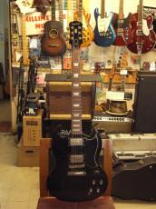 Epiphone G-400_2