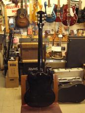 Epiphone G-400_3