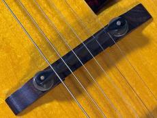Gibson ES-125T_10