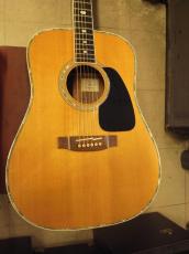 Takamine TSS-20