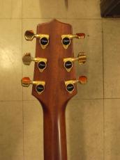 Takamine TSS-20_6