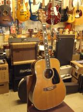 Takamine TSS-20_8