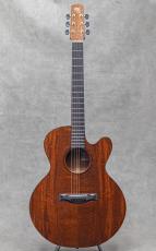 Santa Cruz FS Mahogany / 1990's_2