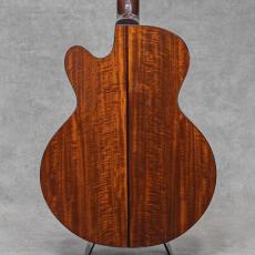 Santa Cruz FS Mahogany / 1990's_3