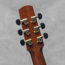 Santa Cruz FS Mahogany / 1990's_10