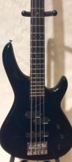 Aria Pro II RVB450_2