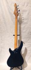 Aria Pro II RVB450_3