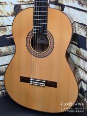 Paco Castillo パコ・カスティージョ 215FR 松・ローズウッド【日本総本店2F在庫品】_2