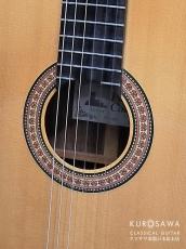 Paco Castillo パコ・カスティージョ 215FR 松・ローズウッド【日本総本店2F在庫品】_3