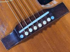 Gibson COUNTRY WESTERN_10