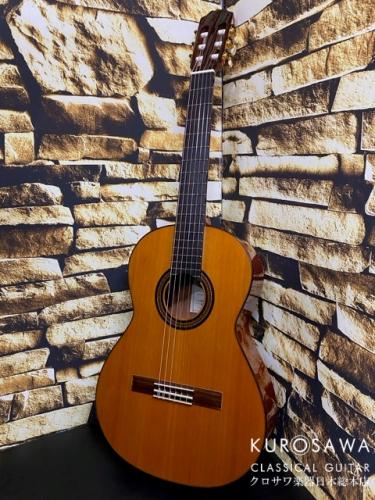 ARIA アリア ACE-5C 610 ショートスケール【日本総本店2F 在庫品】