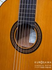 ARIA アリア ACE-5C 610 ショートスケール【日本総本店2F 在庫品】_2