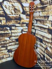 ARIA アリア ACE-5C 610 ショートスケール【日本総本店2F 在庫品】_3