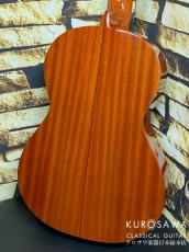 ARIA アリア ACE-5C 610 ショートスケール【日本総本店2F 在庫品】_4