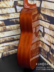 ARIA アリア ACE-5C 610 ショートスケール【日本総本店2F 在庫品】_5