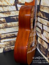 ARIA アリア ACE-5C 610 ショートスケール【日本総本店2F 在庫品】_6