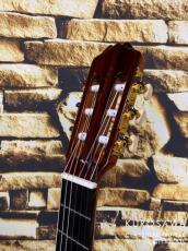 ARIA アリア ACE-5C 610 ショートスケール【日本総本店2F 在庫品】_7