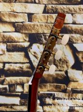 ARIA アリア ACE-5C 610 ショートスケール【日本総本店2F 在庫品】_8