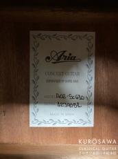 ARIA アリア ACE-5C 610 ショートスケール【日本総本店2F 在庫品】_9