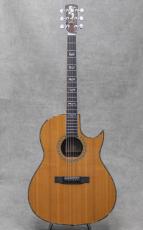 Larrivee C-10 Sea Horse / 1993_2