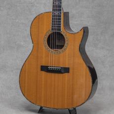Larrivee C-10 Sea Horse / 1993_5