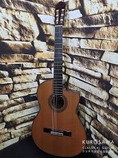 New World Guitar ニューワールドギター 2023年製 Player Series P640C FS 杉・ローズウッド 640mm
