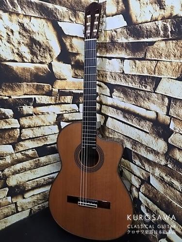 New World Guitar ニューワールドギター 2023年製 Player Series P640C FS 杉・ローズウッド 640mm