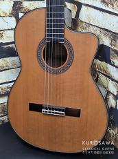 New World Guitar ニューワールドギター 2023年製 Player Series P640C FS 杉・ローズウッド 640mm_2