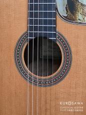 New World Guitar ニューワールドギター 2023年製 Player Series P640C FS 杉・ローズウッド 640mm_3