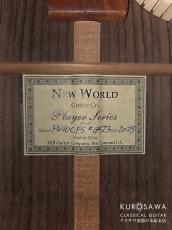 New World Guitar ニューワールドギター 2023年製 Player Series P640C FS 杉・ローズウッド 640mm_4